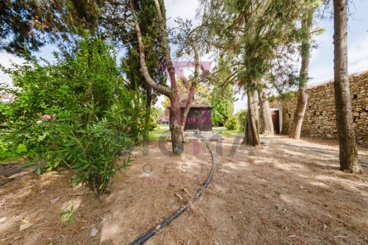 Quinta T8 para Venda em Roliça Foto 56