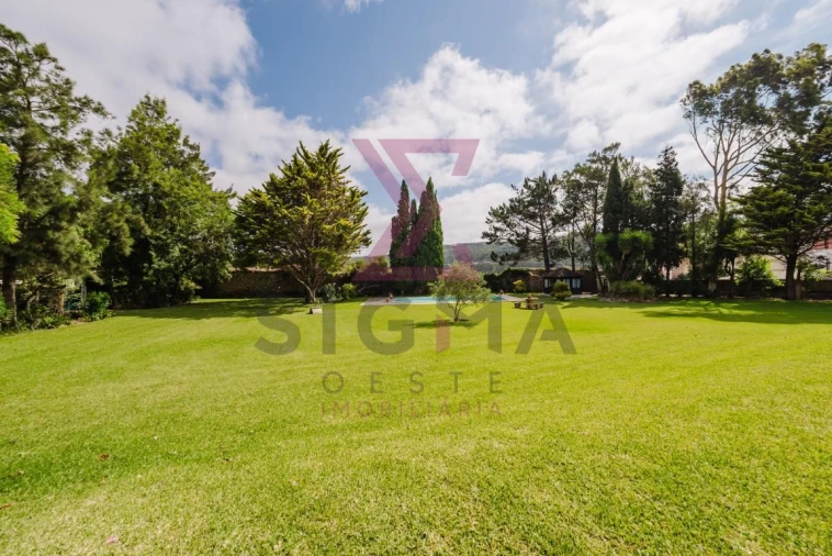 Quinta T8 para Venda em Roliça Foto 50