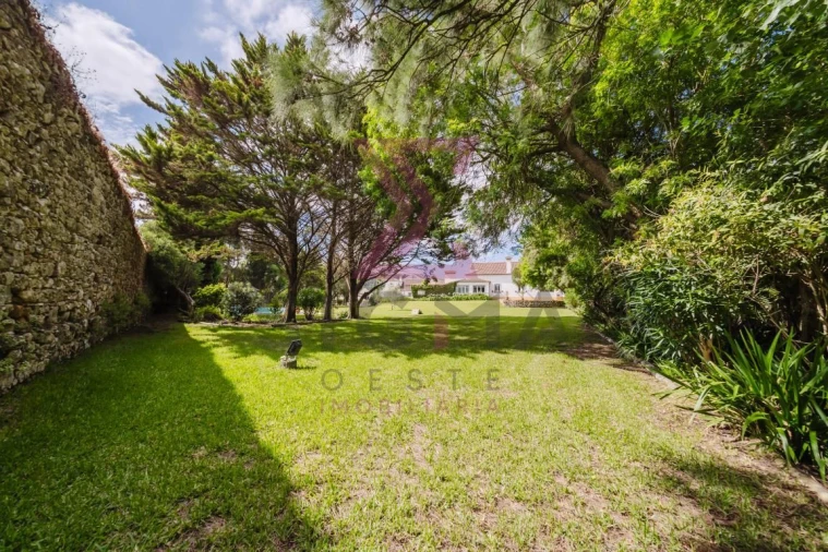 Quinta T8 para Venda em Roliça Foto 52