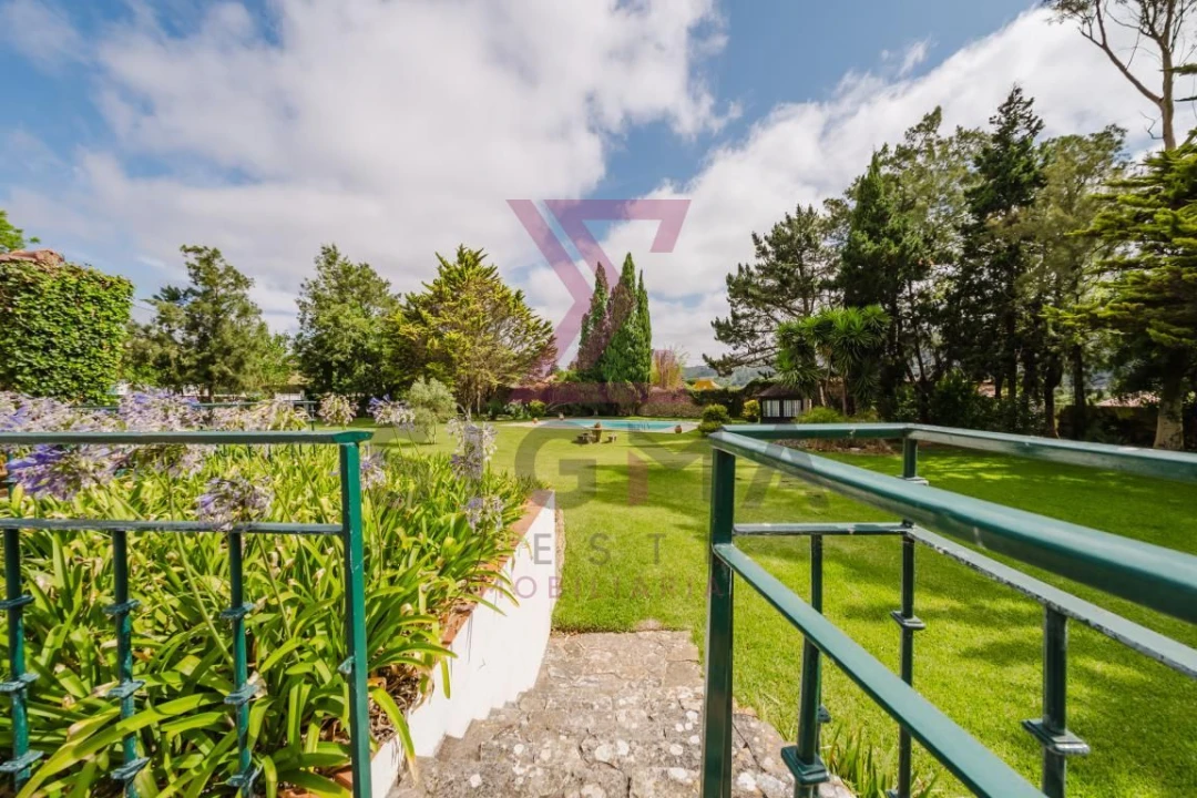 Quinta T8 para Venda em Roliça Foto 43