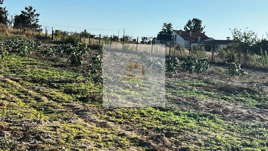 Terreno para Venda em Barrosa Foto 8