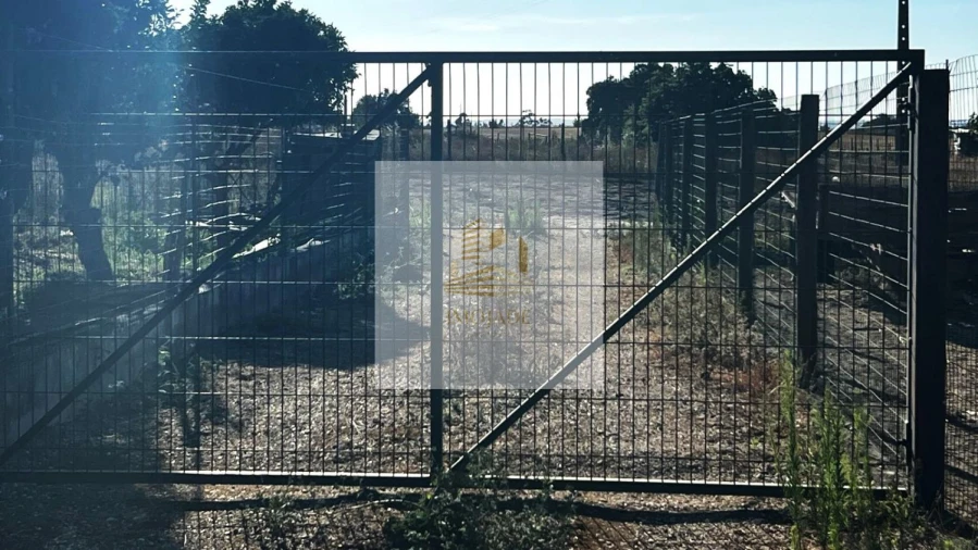 Terreno para Venda em Barrosa Foto 5