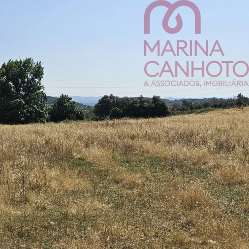 Terreno para Venda em Borba (Matriz) Foto 3