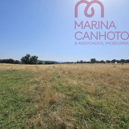 Terreno para Venda em Borba (Matriz) Foto 6