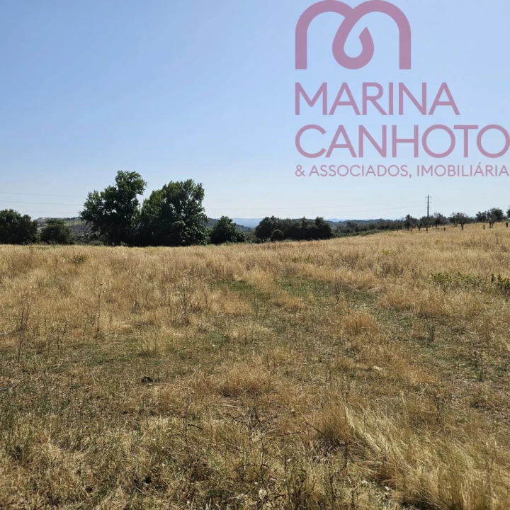 Terreno para Venda em Borba (Matriz) Foto 7