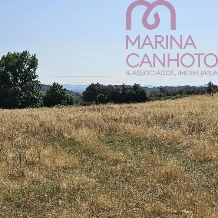 Terreno para Venda em Borba (Matriz) Foto 3