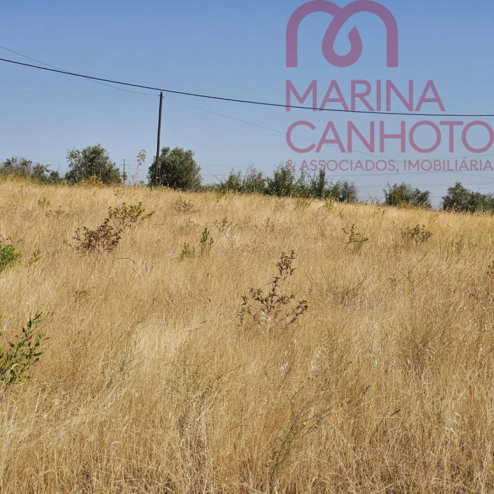 Terreno para Venda em Borba (Matriz) Foto 9