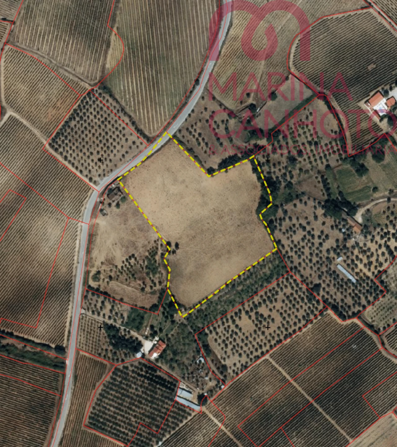 Terreno para Venda em Borba (Matriz) Foto 1