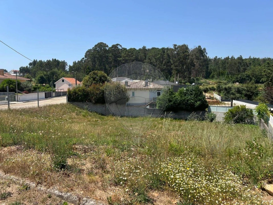 Terreno para Venda em Canedo, Vale e Vila Maior Foto 8