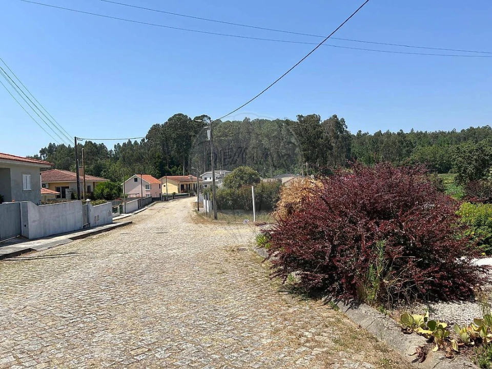 Terreno para Venda em Canedo, Vale e Vila Maior Foto 9