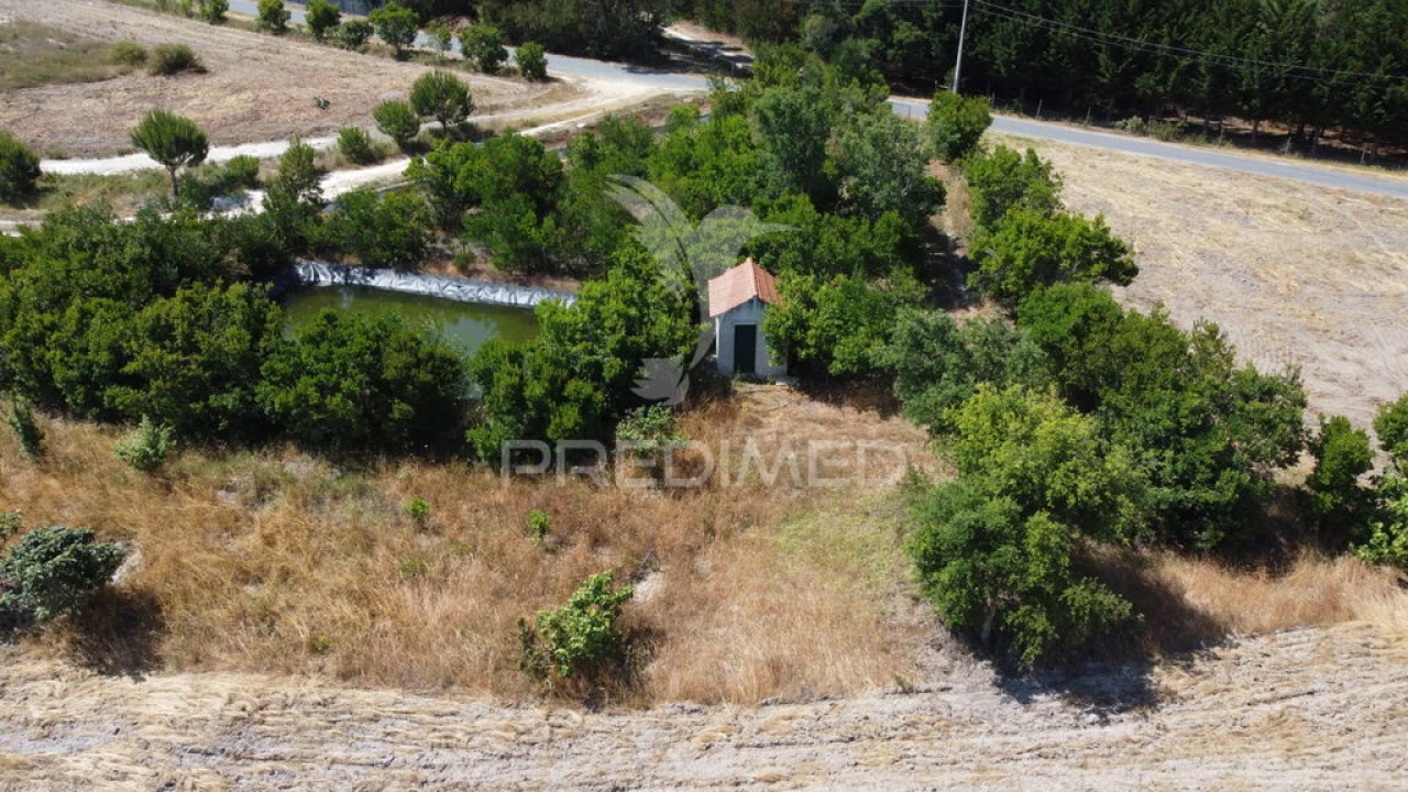 Terreno para Venda em Longueira/Almograve Foto 7