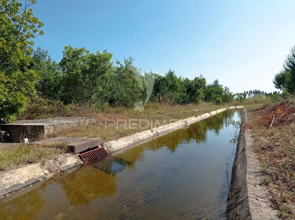 Terreno para Venda em Longueira/Almograve Foto 12