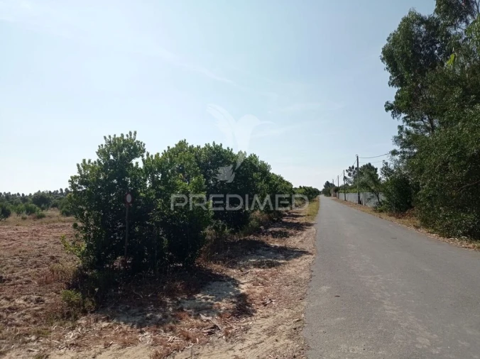 Terreno para Venda em Longueira/Almograve Foto 15