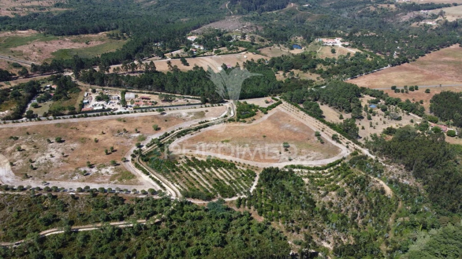 Terreno para Venda em Longueira/Almograve Foto 5