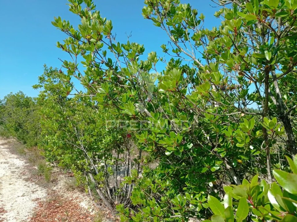 Terreno para Venda em Longueira/Almograve Foto 14