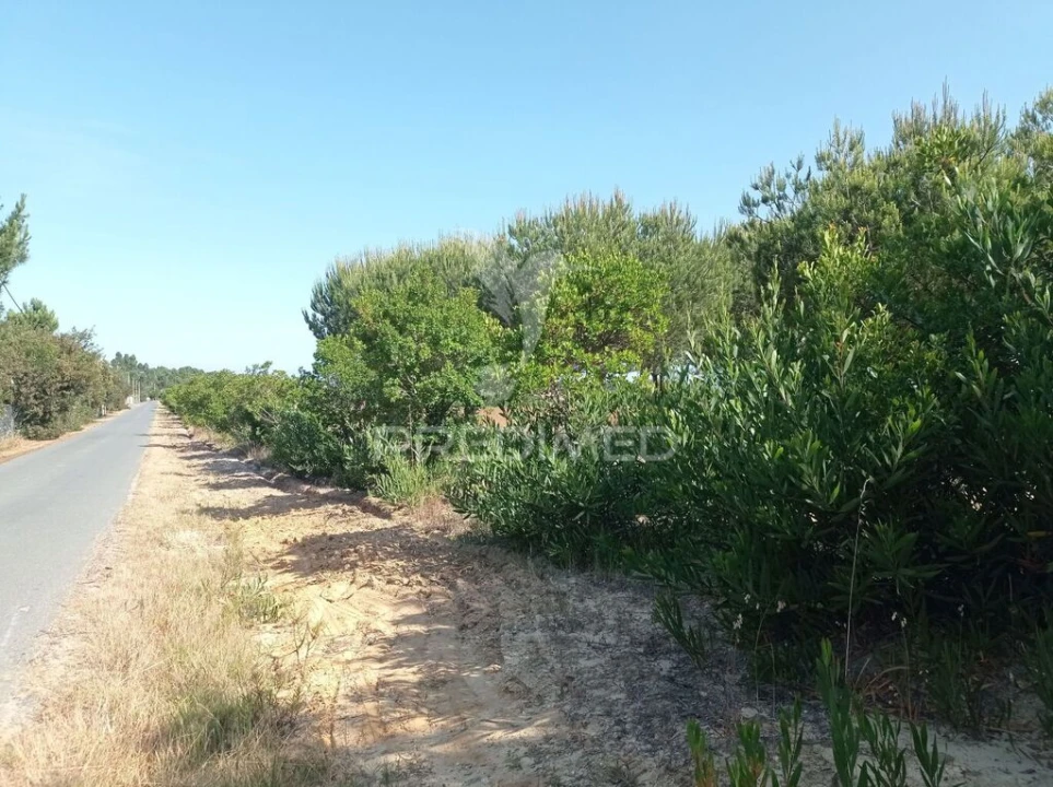 Terreno para Venda em Longueira/Almograve Foto 16