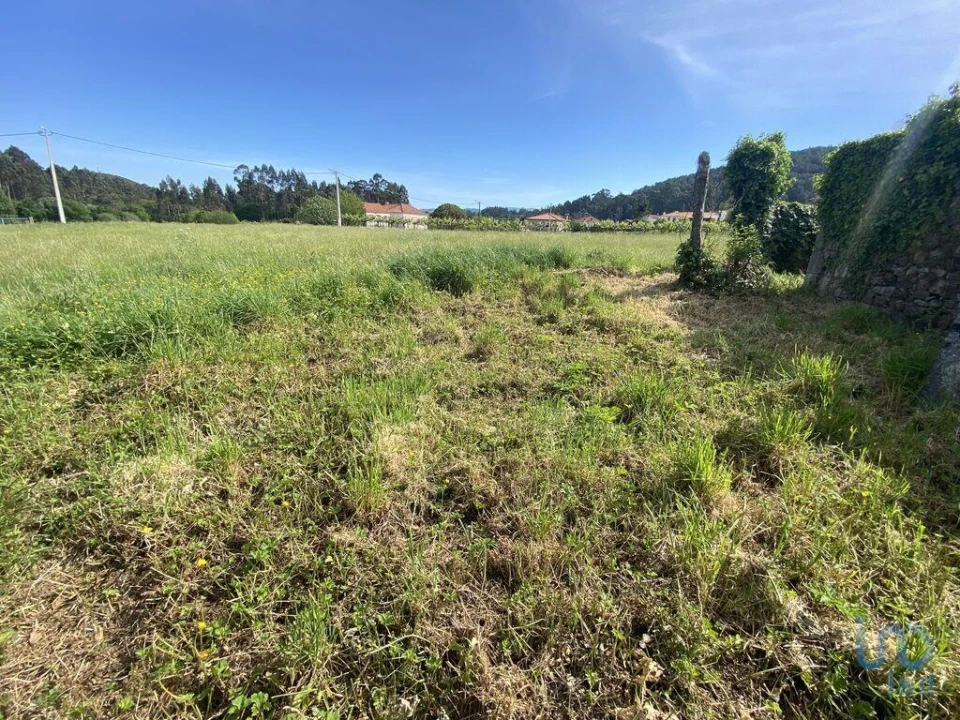 Moradia T1 para Venda em Candemil e Gondar Foto 12