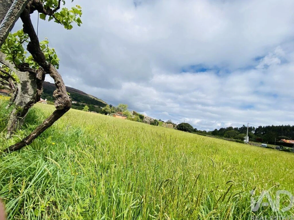 Moradia T1 para Venda em Candemil e Gondar Foto 17