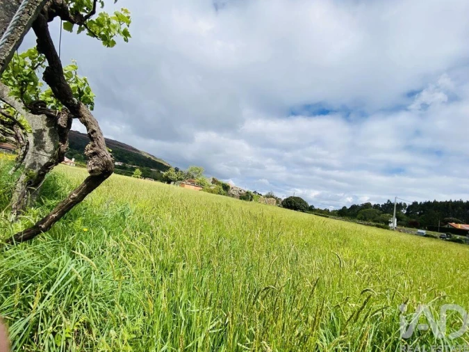 Moradia T1 para Venda em Candemil e Gondar Foto 17