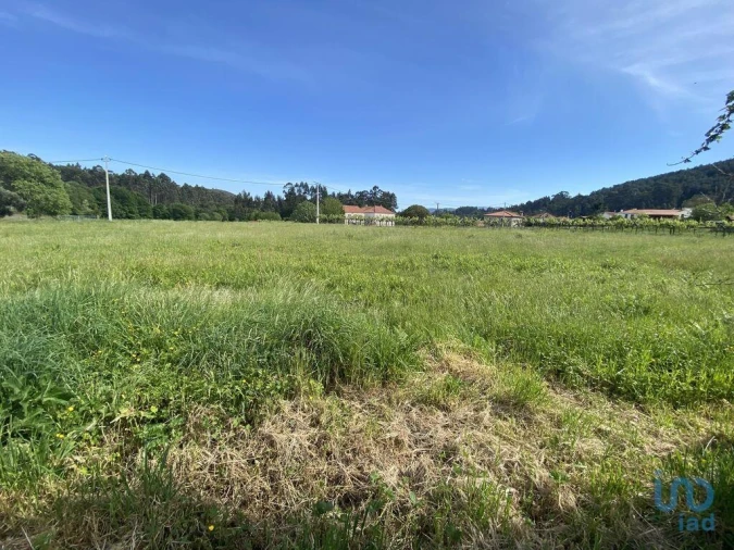 Moradia T1 para Venda em Candemil e Gondar Foto 4