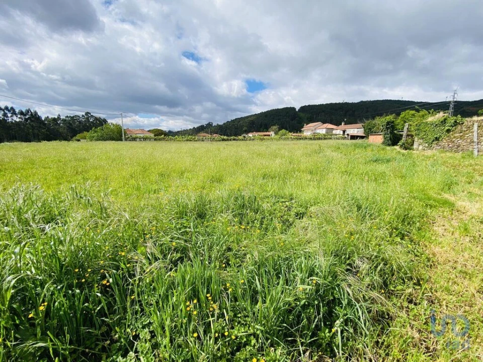 Moradia T1 para Venda em Candemil e Gondar Foto 14