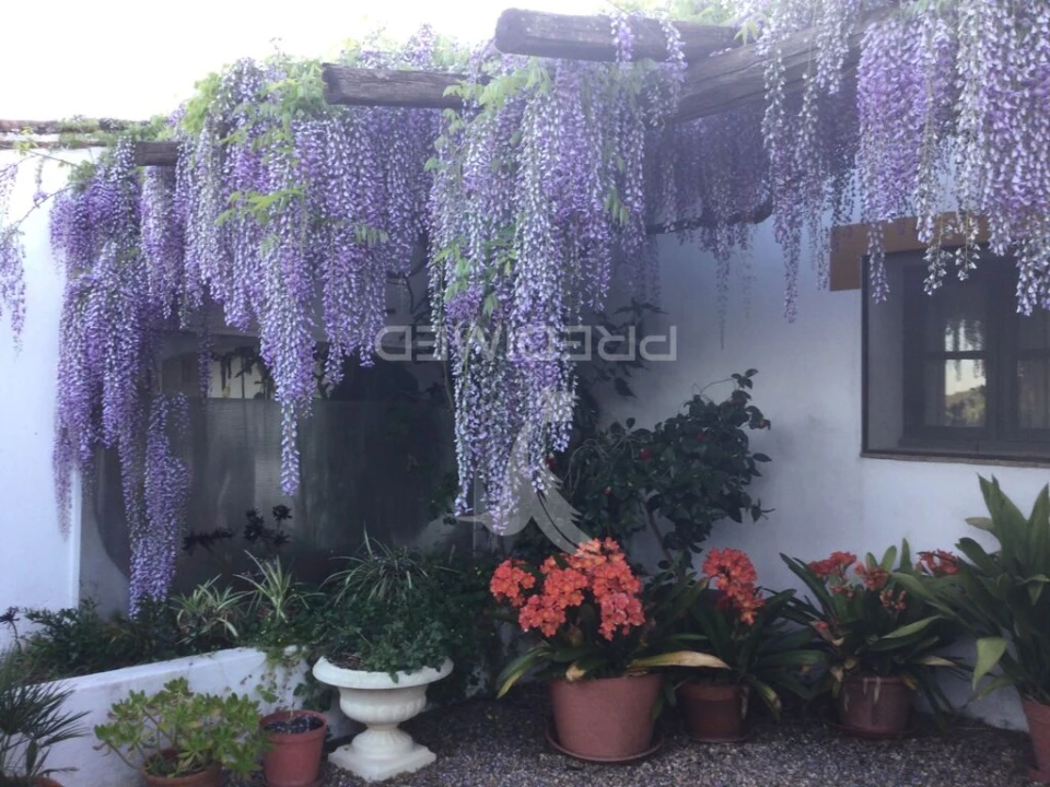 Quinta T3 para Venda em Ourique Foto 10