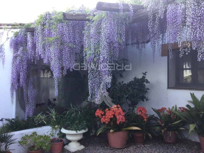 Quinta T3 para Venda em Ourique Foto 10