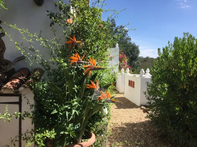 Quinta T3 para Venda em Ourique Foto 8