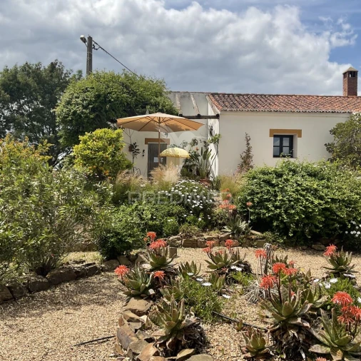 Quinta T3 para Venda em Ourique Foto 3