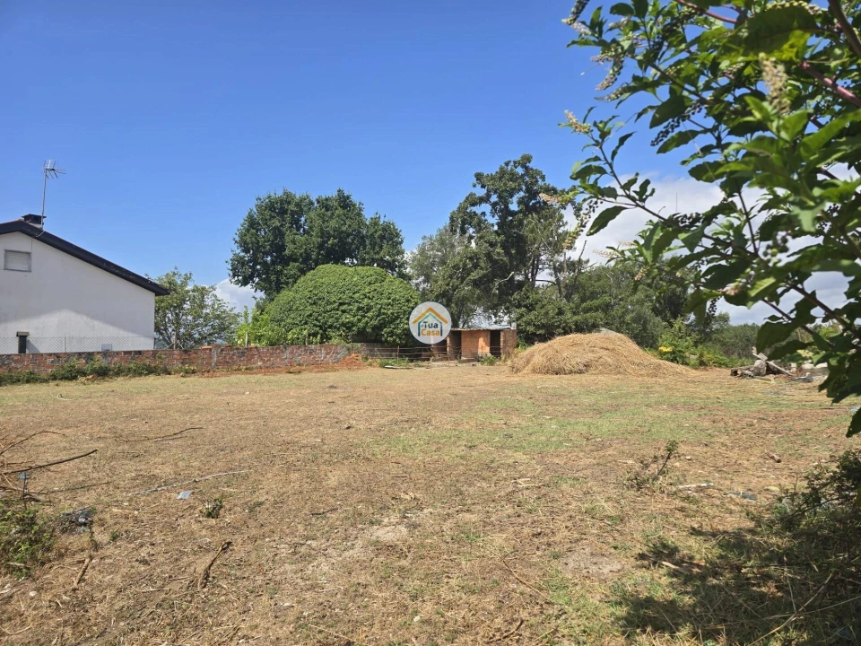 Terreno para Venda em Tabua Foto 9