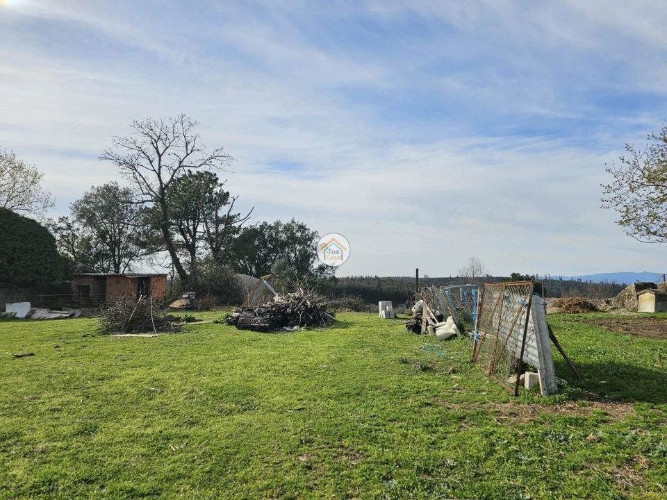 Terreno para Venda em Tabua Foto 22