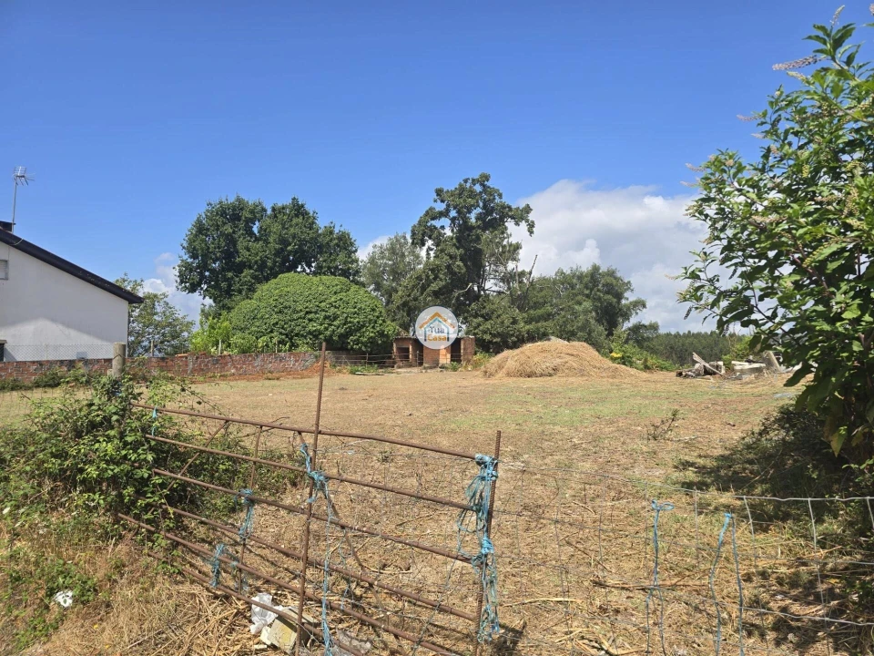 Terreno para Venda em Tabua Foto 8