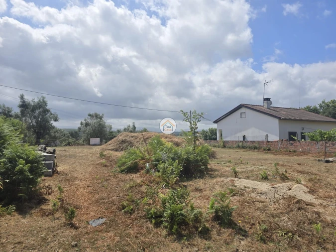 Terreno para Venda em Tabua Foto 18