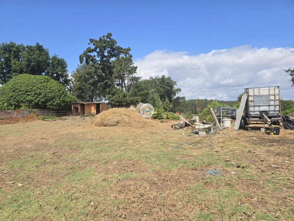 Terreno para Venda em Tabua Foto 13