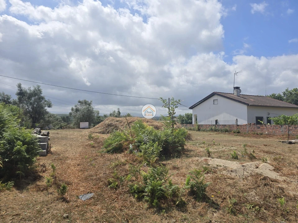 Terreno para Venda em Tabua Foto 18