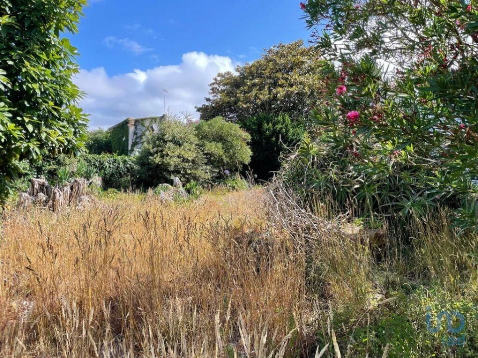 Terreno para Venda em Esposende, Marinhas e Gandra Foto 9