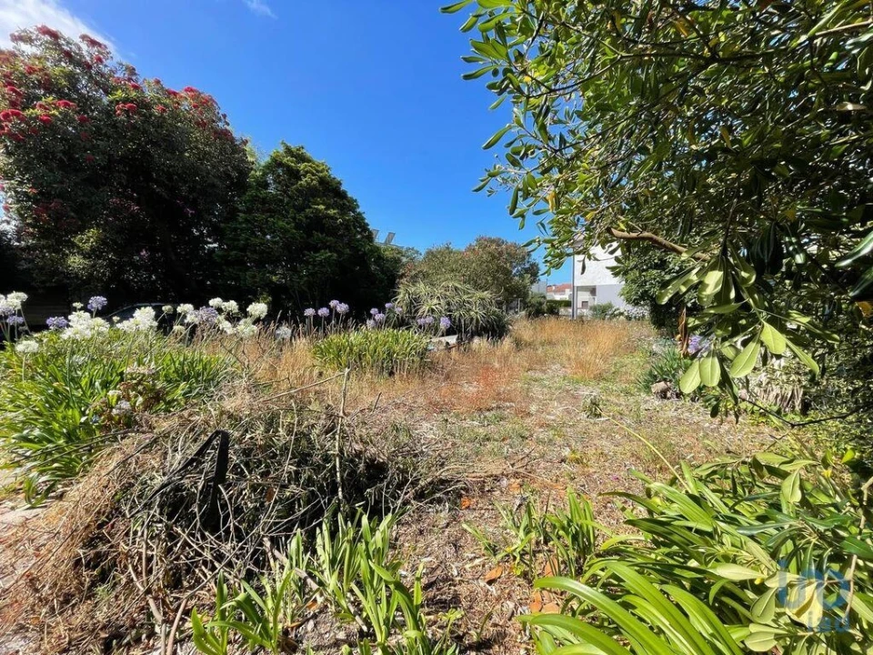 Terreno para Venda em Esposende, Marinhas e Gandra Foto 7
