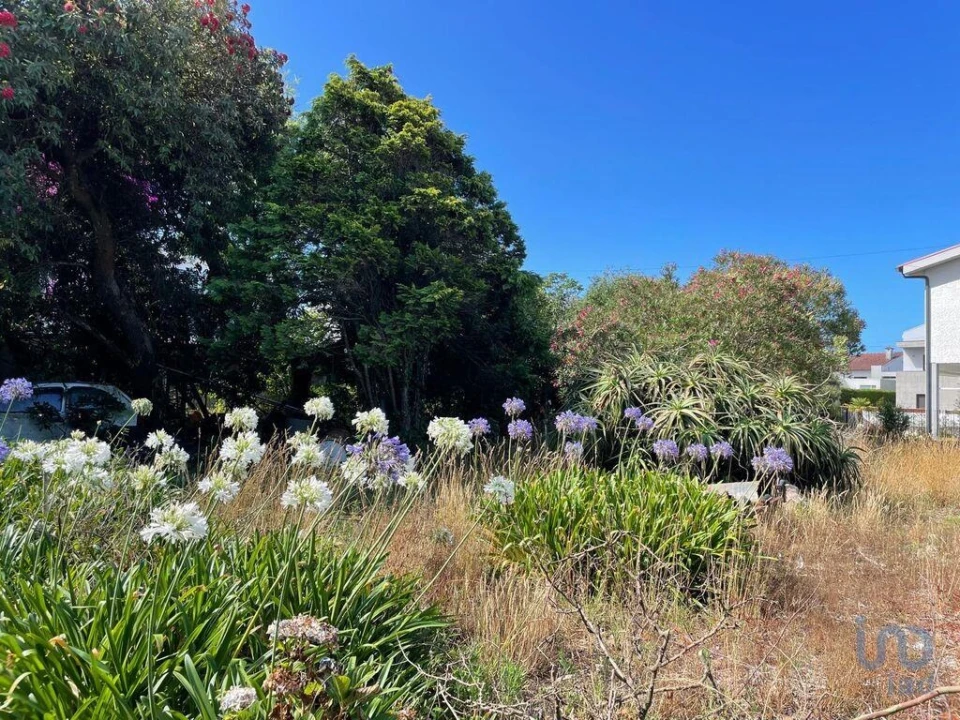 Terreno para Venda em Esposende, Marinhas e Gandra Foto 2