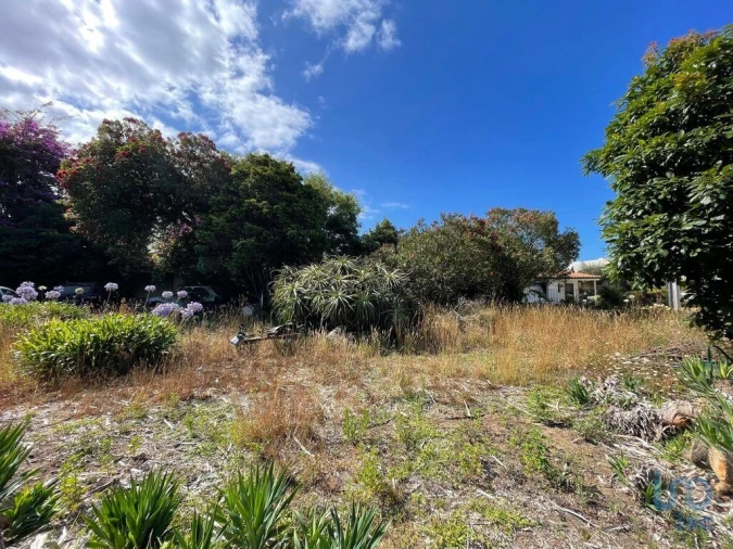 Terreno para Venda em Esposende, Marinhas e Gandra Foto 5