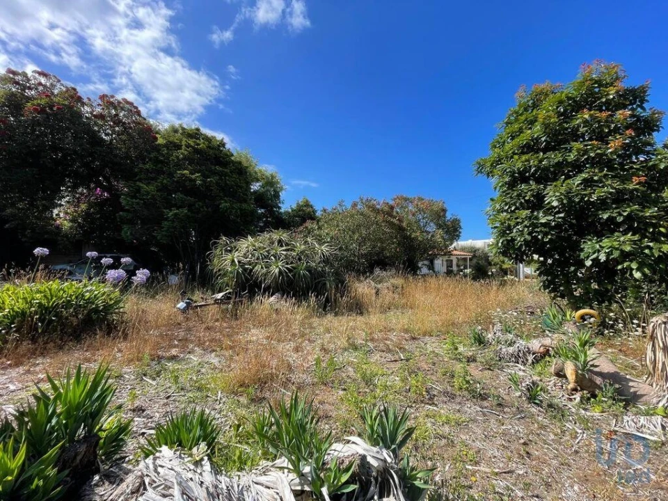 Terreno para Venda em Esposende, Marinhas e Gandra Foto 1