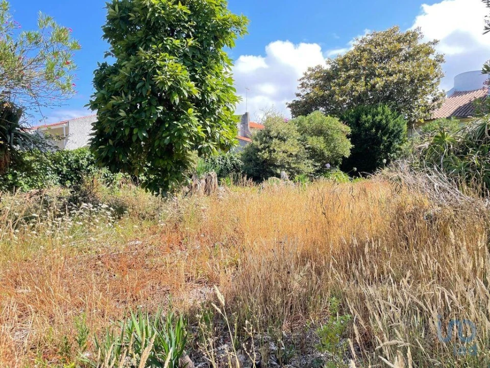 Terreno para Venda em Esposende, Marinhas e Gandra Foto 10