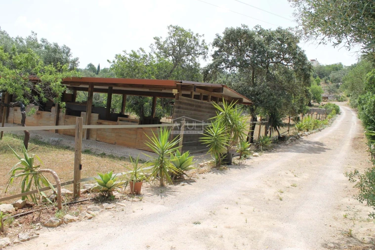 Moradia T5 para Venda em Loule (São Clemente) Foto 30