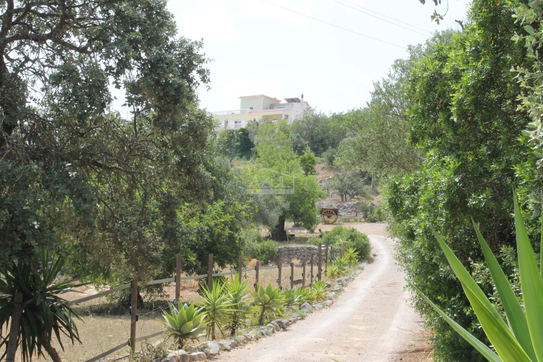 Moradia T5 para Venda em Loule (São Clemente) Foto 3