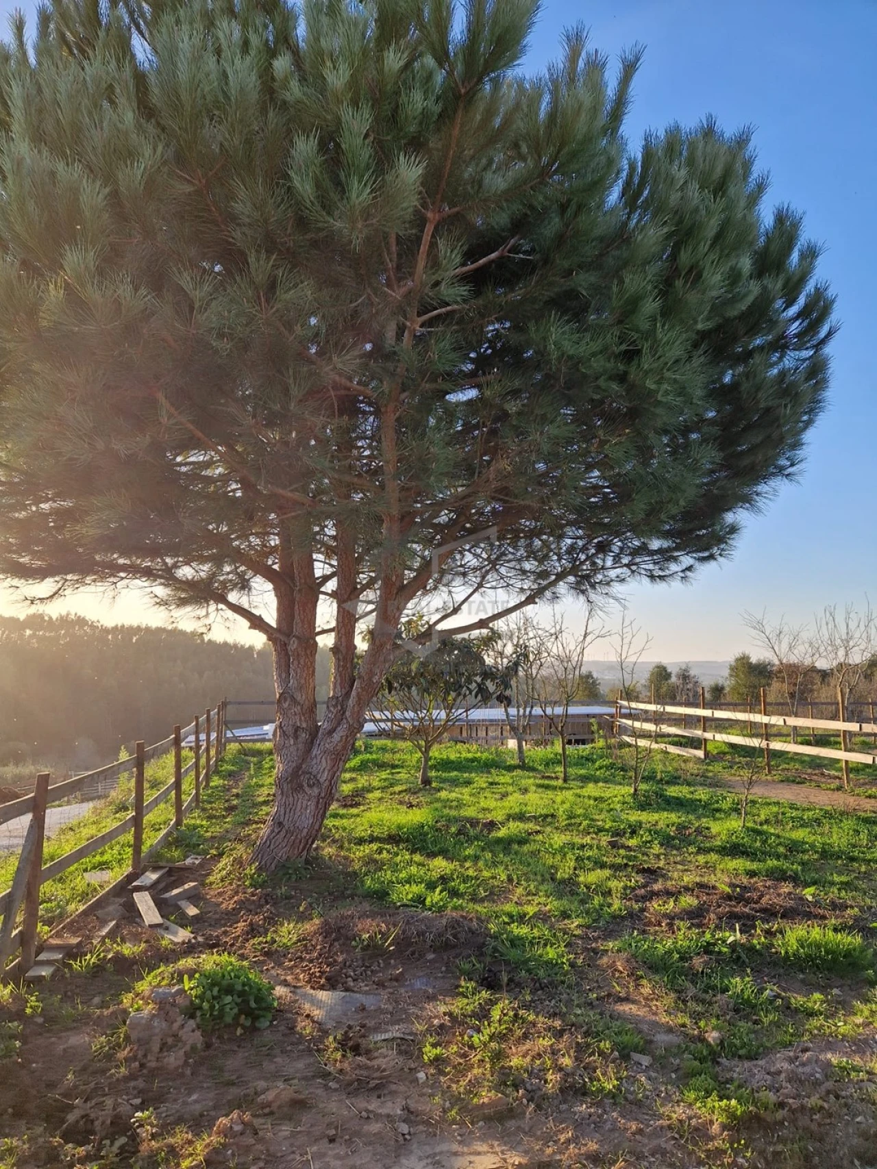 Moradia T6 para Venda em Bombarral e Vale Covo Foto 14