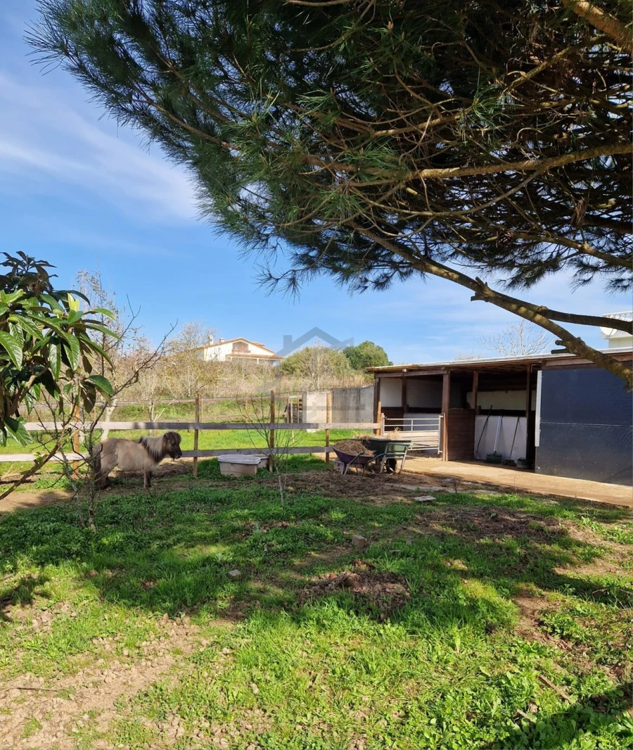 Moradia T6 para Venda em Bombarral e Vale Covo Foto 16