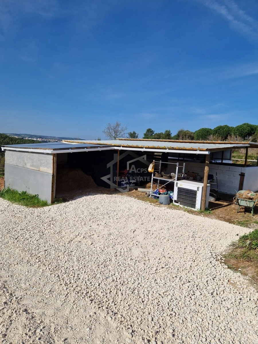 Moradia T6 para Venda em Bombarral e Vale Covo Foto 12