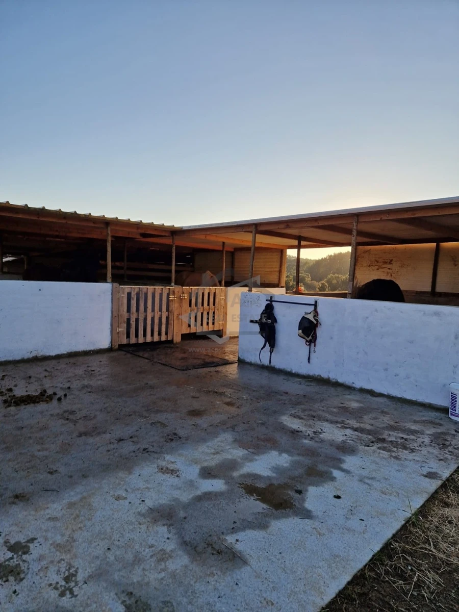 Moradia T6 para Venda em Bombarral e Vale Covo Foto 17