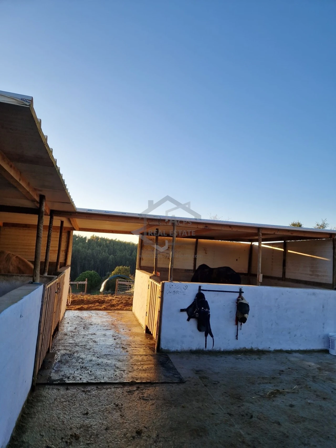 Moradia T6 para Venda em Bombarral e Vale Covo Foto 18