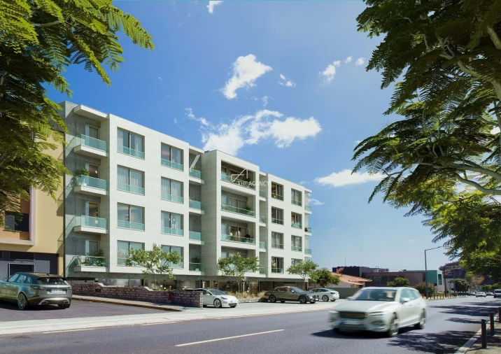 Apartamento T1 para Venda em Ribeira Brava Foto 3
