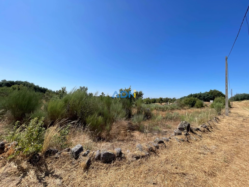 Terreno para Venda em Soalheira Foto 6